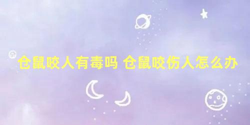仓鼠咬人有毒吗 仓鼠咬伤人怎么办